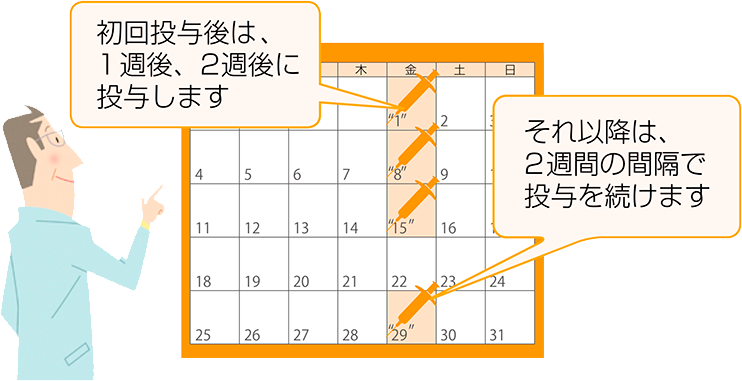 初回投与後は、1週後、2週後に投与します。それ以降は、2週間の間隔で投与を続けます。