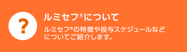 ルミセフについて ルミセフの特徴や投与スケジュールなどについてご紹介します。