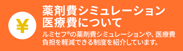 薬剤費シミュレーションや、医療費負担を軽減できる制度を紹介しています。