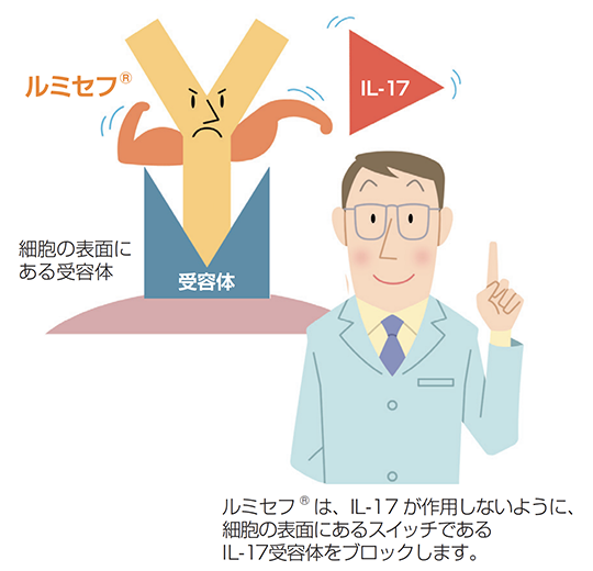 ルミセフは、IL-17が作用しないように、細胞の表面にあるスイッチであるIL-17受容体をブロックします。